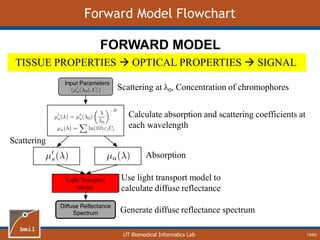 UT Biomedical Informatics Lab
Forward Model Flowchart
TISSUE PROPERTIES  OPTICAL PROPERTIES  SIGNAL
FORWARD MODEL
Light Transport
Model
Scattering at λ0, Concentration of chromophores
Calculate absorption and scattering coefficients at
each wavelength
Scattering
Absorption
Use light transport model to
calculate diffuse reflectance
Generate diffuse reflectance spectrum
19/60
 