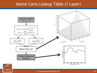 UT Biomedical Informatics Lab
Monte Carlo Lookup Table (1 Layer)
400 450 500 550 600 650 700
0
1
2
3
4
5
6
7
8
9
WAVELENGTH (nm)
REFLECTANCE
21/60
 