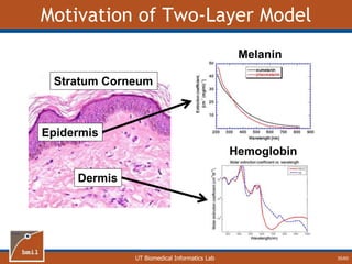 UT Biomedical Informatics Lab
Motivation of Two-Layer Model
Epidermis
Dermis
Stratum Corneum
Melanin
Hemoglobin
35/60
 