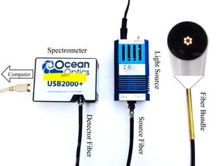 UT Biomedical Informatics Lab
DRS Instrumentation
5
Spectrometer
LightSource
SourceFiber
DetectorFiber
Computer
FiberBundle
 