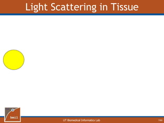 UT Biomedical Informatics Lab
Light Scattering in Tissue
7/60
 
