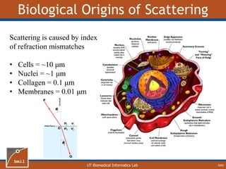 UT Biomedical Informatics Lab
Biological Origins of Scattering
8/60
Scattering is caused by index
of refraction mismatches
• Cells = ~10 μm
• Nuclei = ~1 μm
• Collagen = 0.1 μm
• Membranes = 0.01 μm
 