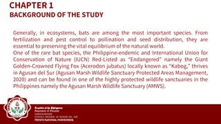 CHAPTER 1
Generally, in ecosystems, bats are among the most important species. From
fertilization and pest control to pollination and seed distribution, they are
essential to preserving the vital equilibrium of the natural world.
One of the rare bat species, the Philippine-endemic and International Union for
Conservation of Nature (IUCN) Red-Listed as “Endangered” namely the Giant
Golden-Crowned Flying Fox (Acerodon jubatus) locally known as “Kabog,” thrives
in Agusan del Sur (Agusan Marsh Wildlife Sanctuary Protected Areas Management,
2020) and can be found in one of the highly protected wildlife sanctuaries in the
Philippines namely the Agusan Marsh Wildlife Sanctuary (AMWS).
BACKGROUND OF THE STUDY
 