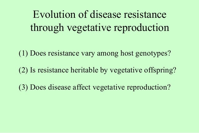 What Does Natural Selection Directly Affect What Does Natural Selection Directly Affect