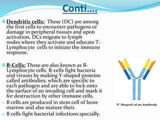Conti….
 T.Cells: These cells are part of the immune
system and develop from stem cells in the bone
marrow & mature in th...