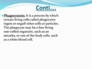 Conti….
Phagocytosis: It is a process by which
certain living cells called phagocytes
ingest or engulf other cells or par...
