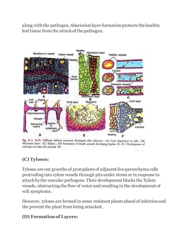 Defense mechanism in plants PDF