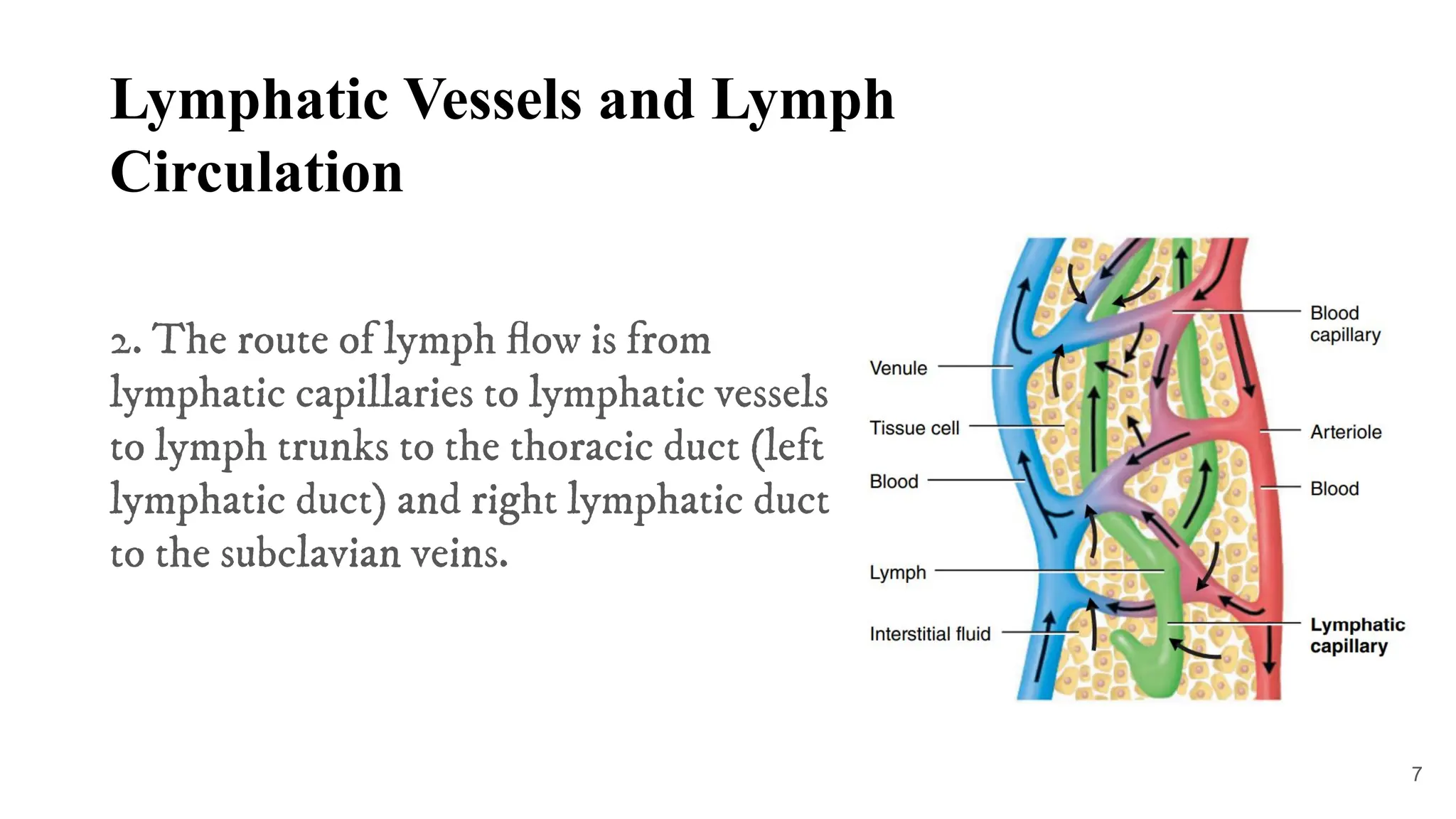 Defense mechanism of the body and the Lympathic system | PDF