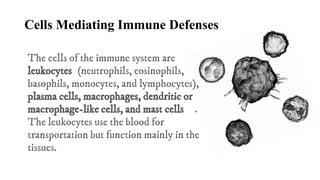 Defense mechanism of the body and the Lympathic system | PDF
