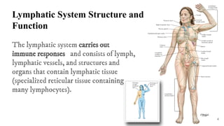 Defense mechanism of the body and the Lympathic system | PDF