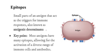 Defense mechanism of the body and the Lympathic system | PDF