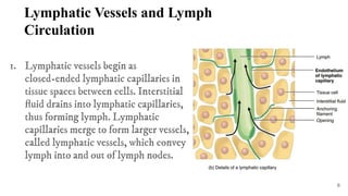Defense mechanism of the body and the Lympathic system | PDF