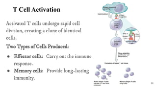 Defense mechanism of the body and the Lympathic system | PDF