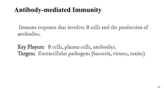 Defense mechanism of the body and the Lympathic system | PDF