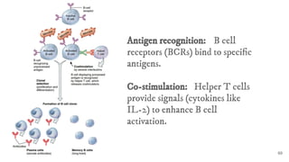 Defense mechanism of the body and the Lympathic system | PDF