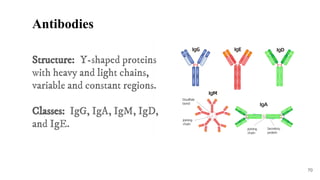 Defense mechanism of the body and the Lympathic system | PDF