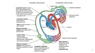 Defense mechanism of the body and the Lympathic system | PDF