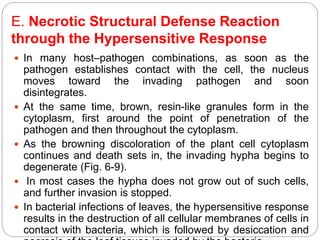 Defense mechanisms in plants | PPTX