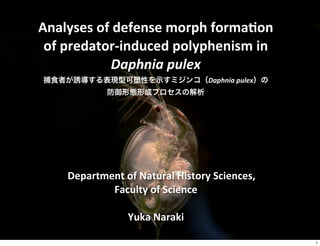 Analyses  of  defense  morph  forma0on  
of  predator-­‐induced  polyphenism  in  
Daphnia  pulex
捕食者が誘導する表現型可塑性を示すミジンコ（Daphnia  pulex）の
防御形態形成プロセスの解析

Department  of  Natural  History  Sciences,
Faculty  of  Science
Yuka  Naraki
1

 