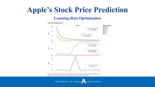 Apple’s Stock Price Prediction
Learning Rate Optimization
 