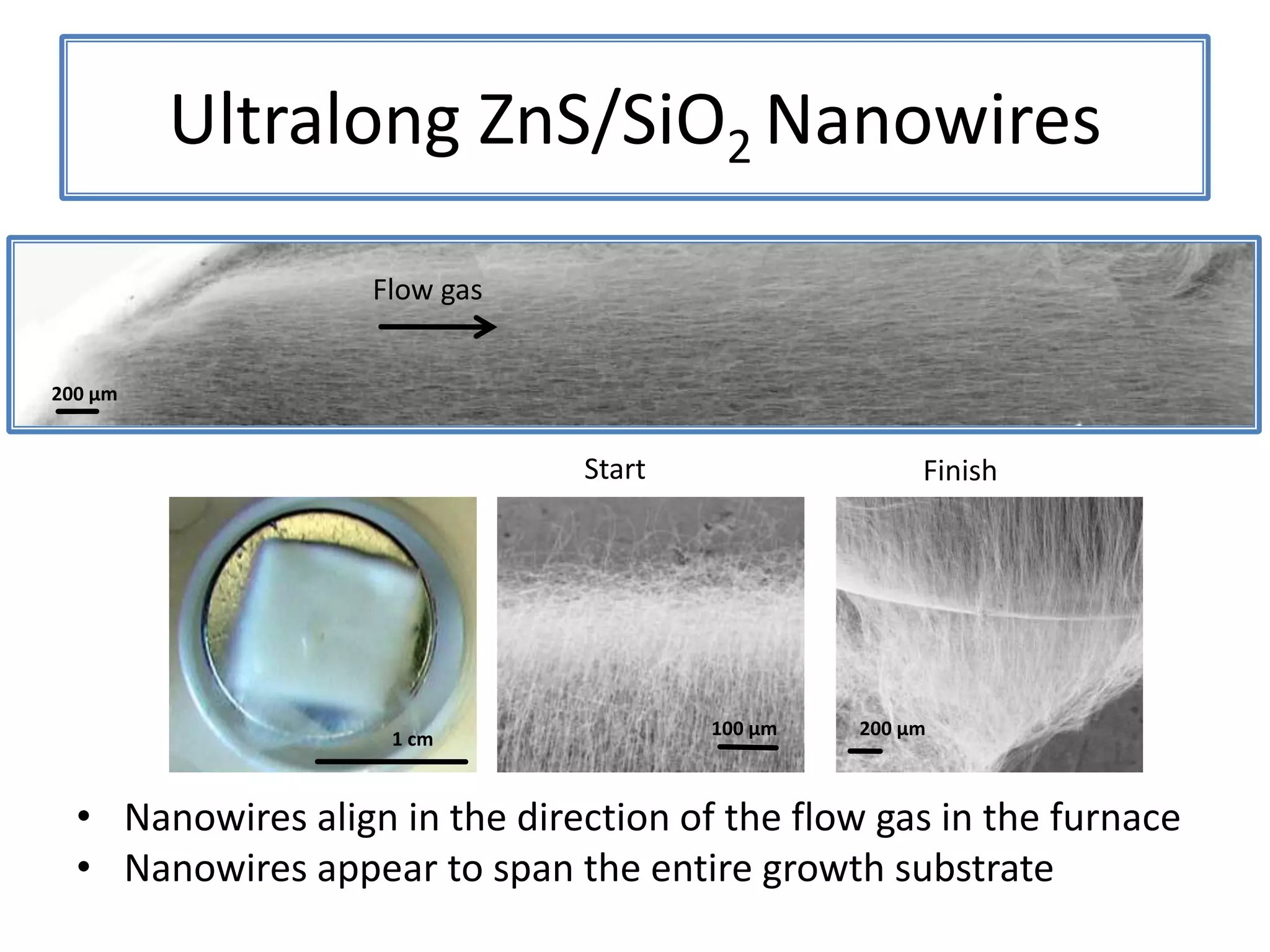 Novel ZnS Nanostructures
