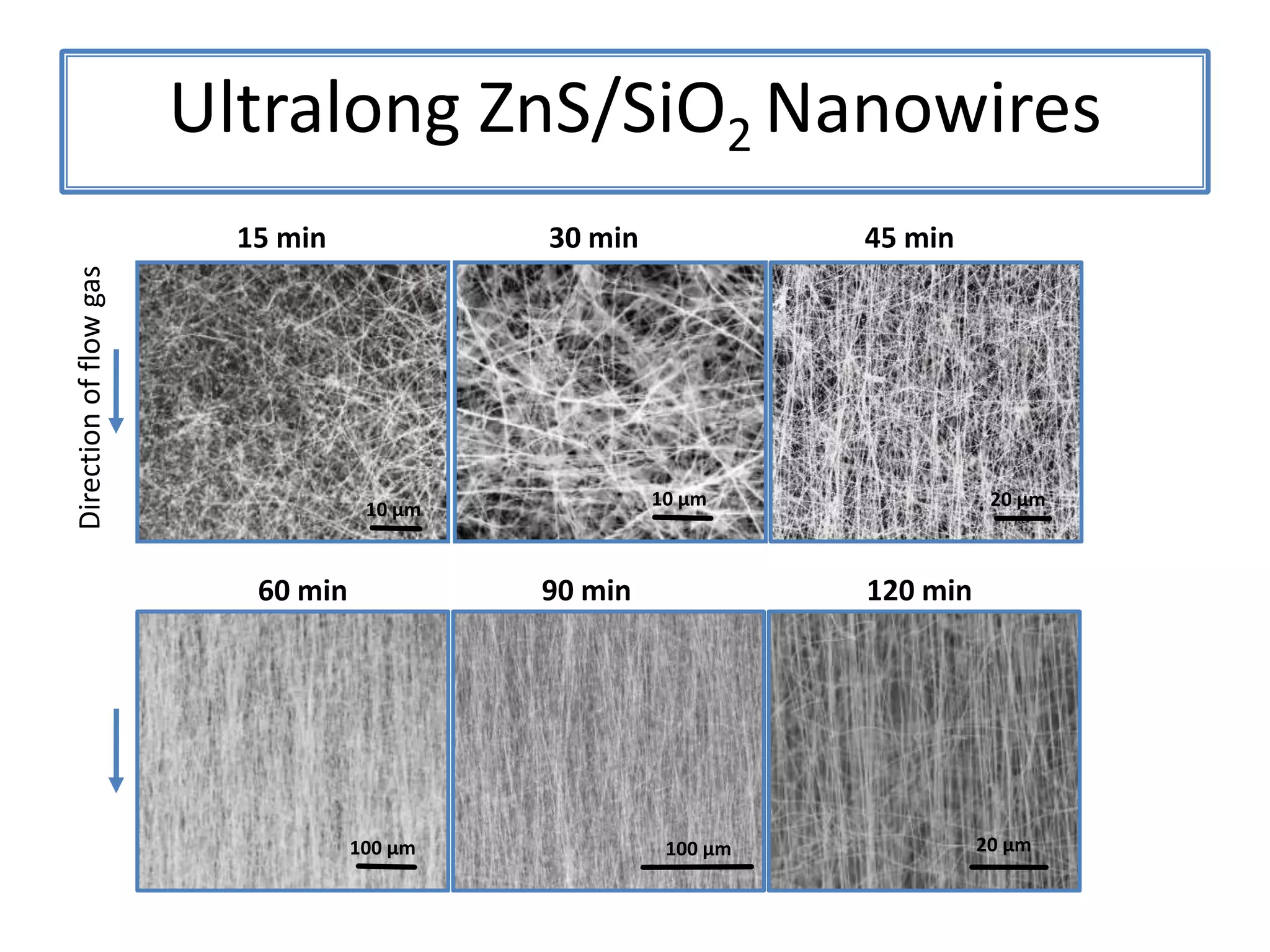 Aligned ZnS Nanowires