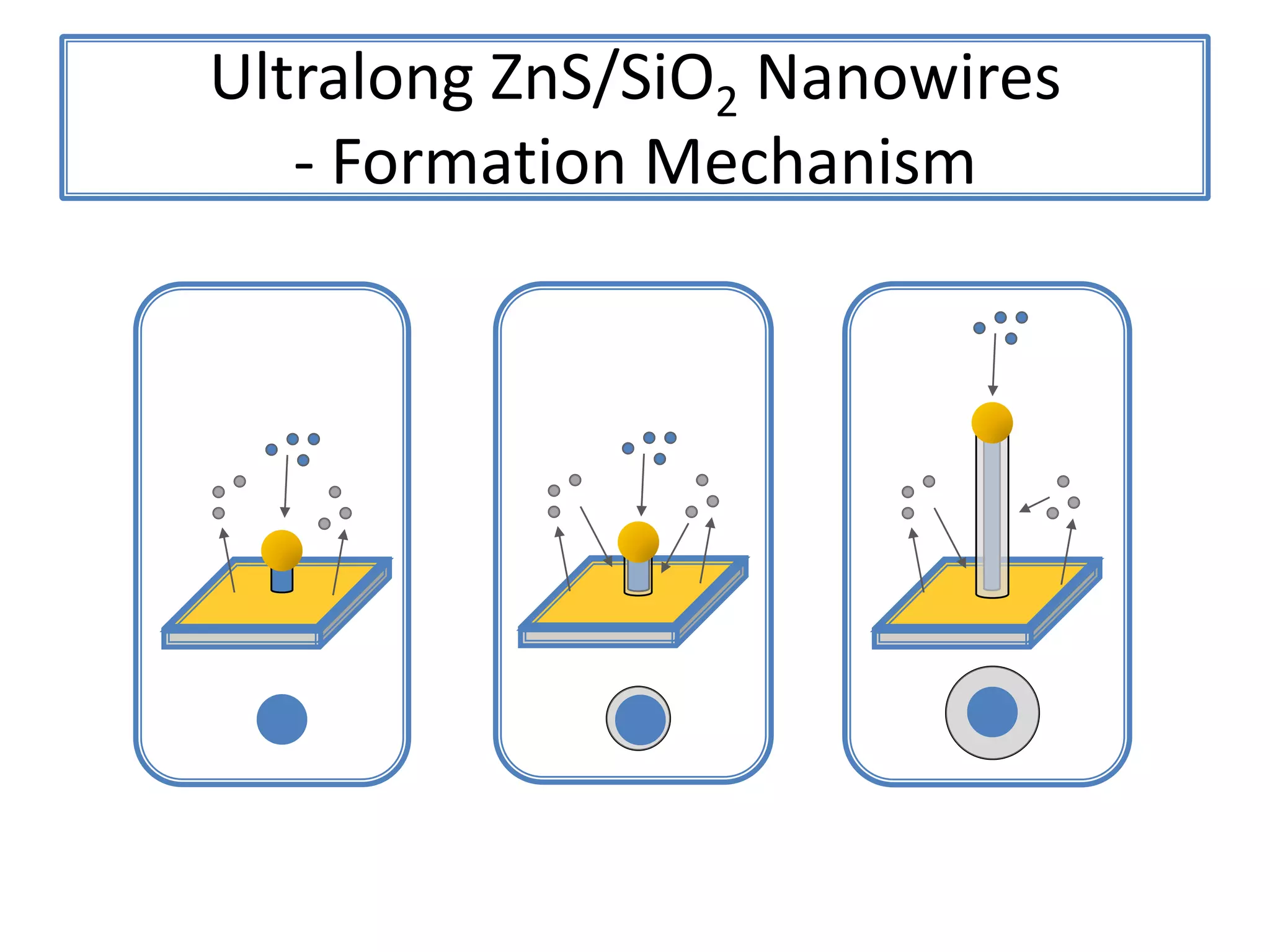 ZnSNanohelix2 um2 um20 um