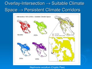 Masters Thesis Defense Presentation | PPT