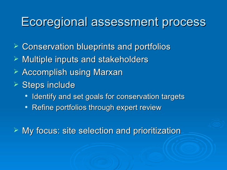 Master thesis defense sample image