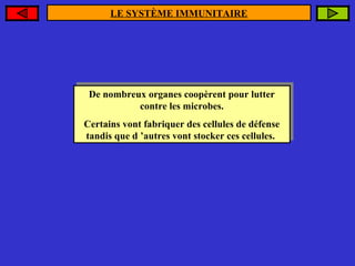 LE SYSTÈME IMMUNITAIRE

De nombreux organes coopèrent pour lutter
De nombreux organes coopèrent pour lutter
contre les microbes.
contre les microbes.
Certains vont fabriquer des cellules de défense
Certains vont fabriquer des cellules de défense
tandis que d ’autres vont stocker ces cellules.
tandis que d ’autres vont stocker ces cellules.

 