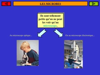 LES MICROBES

Ils sont tellement
Ils sont tellement
petits qu’on ne peut
petits qu’on ne peut
les voir qu’au
les voir qu’au
microscope.
microscope.
Au microscope optique...

Ou au microscope électronique...

 