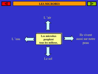 LES MICROBES

L ’air

L ’eau

Les microbes
Les microbes
peuplent
peuplent
tous les milieux.
tous les milieux.

Le sol

Ils vivent
aussi sur notre
peau

 