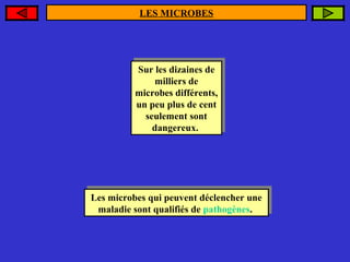 LES MICROBES

Sur les dizaines de
Sur les dizaines de
milliers de
milliers de
microbes différents,
microbes différents,
un peu plus de cent
un peu plus de cent
seulement sont
seulement sont
dangereux.
dangereux.

Les microbes qui peuvent déclencher une
Les microbes qui peuvent déclencher une
maladie sont qualifiés de pathogènes.
maladie sont qualifiés de pathogènes.

 