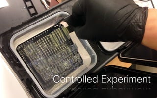 96
Controlled Experiment
 