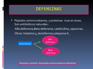 Defensinas gingivales ide_myriam[1].11