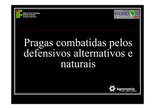 Pragas combatidas pelos
defensivos alternativos e
naturais
 
