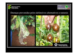 Doenças prevenidas pelos defensivos alternativos e naturais
 