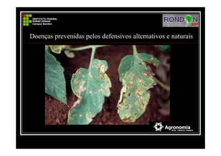 Doenças prevenidas pelos defensivos alternativos e naturais
 
