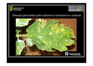 Doenças prevenidas pelos defensivos alternativos e naturais
 