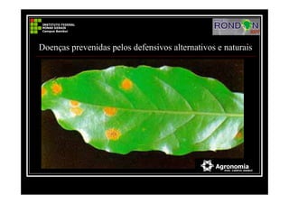 Doenças prevenidas pelos defensivos alternativos e naturais
 