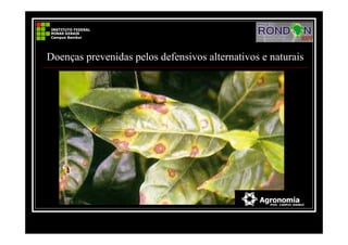 Doenças prevenidas pelos defensivos alternativos e naturais
 
