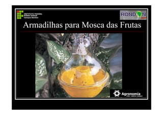 Armadilhas para Mosca das Frutas
 