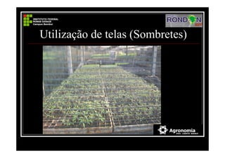 Utilização de telas (Sombretes)
 