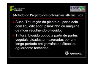 Método de Preparo dos defensivos alternativos
Suco: Trituração da planta ou parte dela
com liquidificador, pilãozinho ou máquina
de moer recolhendo o líquido;
Tintura: Líquido obtido a partir de partes
vegetais picadas armazenadas por um
longo período em garrafas de álcool ou
aguardente fechadas.
 