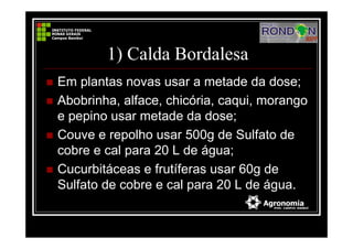 1) Calda Bordalesa
Em plantas novas usar a metade da dose;
Abobrinha, alface, chicória, caqui, morango
e pepino usar metade da dose;
Couve e repolho usar 500g de Sulfato de
cobre e cal para 20 L de água;
Cucurbitáceas e frutíferas usar 60g de
Sulfato de cobre e cal para 20 L de água.
 