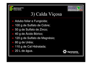 3) Calda Viçosa
Adubo foliar e Fungicida;
100 g de Sulfato de Cobre;
50 g de Sulfato de Zinco;
40 g de Ácido Bórico;
120 g de Sulfato de Magnésio;
80 g de Uréia;
110 g de Cal Hidratada;
20 L de água.
 