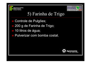 5) Farinha de Trigo
Controle de Pulgões;
200 g de Farinha de Trigo;
10 litros de água;
Pulverizar com bomba costal.
 