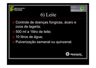 6) Leite
Controle de doenças fúngicas, ácaro e
ovos de lagarta;
500 ml a 1litro de leite;
10 litros de água;
Pulverização semanal ou quinzenal.
 
