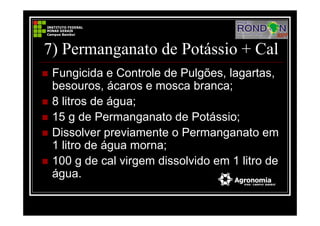 7) Permanganato de Potássio + Cal
Fungicida e Controle de Pulgões, lagartas,
besouros, ácaros e mosca branca;
8 litros de água;
15 g de Permanganato de Potássio;
Dissolver previamente o Permanganato em
1 litro de água morna;
100 g de cal virgem dissolvido em 1 litro de
água.
 