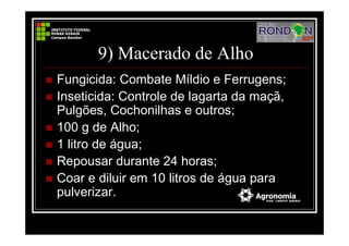 9) Macerado de Alho
Fungicida: Combate Míldio e Ferrugens;
Inseticida: Controle de lagarta da maçã,
Pulgões, Cochonilhas e outros;
100 g de Alho;
1 litro de água;
Repousar durante 24 horas;
Coar e diluir em 10 litros de água para
pulverizar.
 